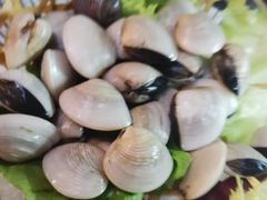 -马家斑.鲜鱼火锅(松湖万科店)