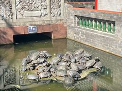 -華叔茶記