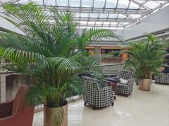 -北京望京凯悦酒店The Lounge大堂酒廊