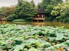 -杭州西子湖四季酒店·金沙厅