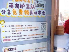 -宠爱国际动物医院·疑难骨科·心肾内科·皮肤科(太阳宫店)