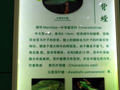 -上海昆虫博物馆