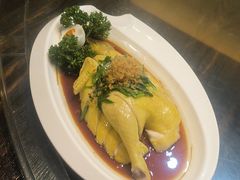 -谢氏老金口渔村(王家墩店)