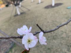 -西北湖绿化广场
