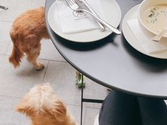 -Money Shops(愚园路店)