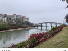 -万绿园