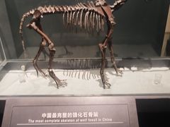 -大庆市博物馆