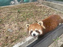 -东部华侨城