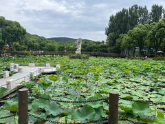 -三国水浒景区(无锡影视基地)