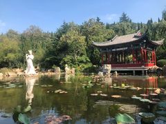 -龙口南山旅游景区