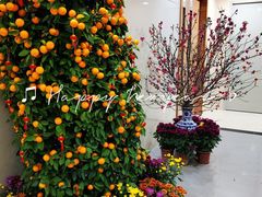 -广州市番禺中心医院(主院区)