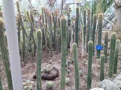 -南山植物园