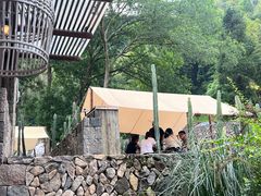 -MOJ coffee(瓯海泽雅水碓坑店)