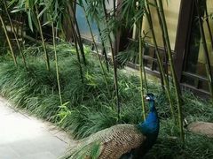 -阳朔悦榕庄·明月西餐厅&清风吧