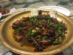 -龙泉小镇(科圣路店)