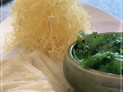-丁老爷子苏香圆