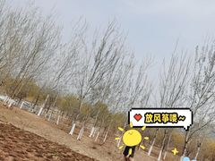 -门城湖公园