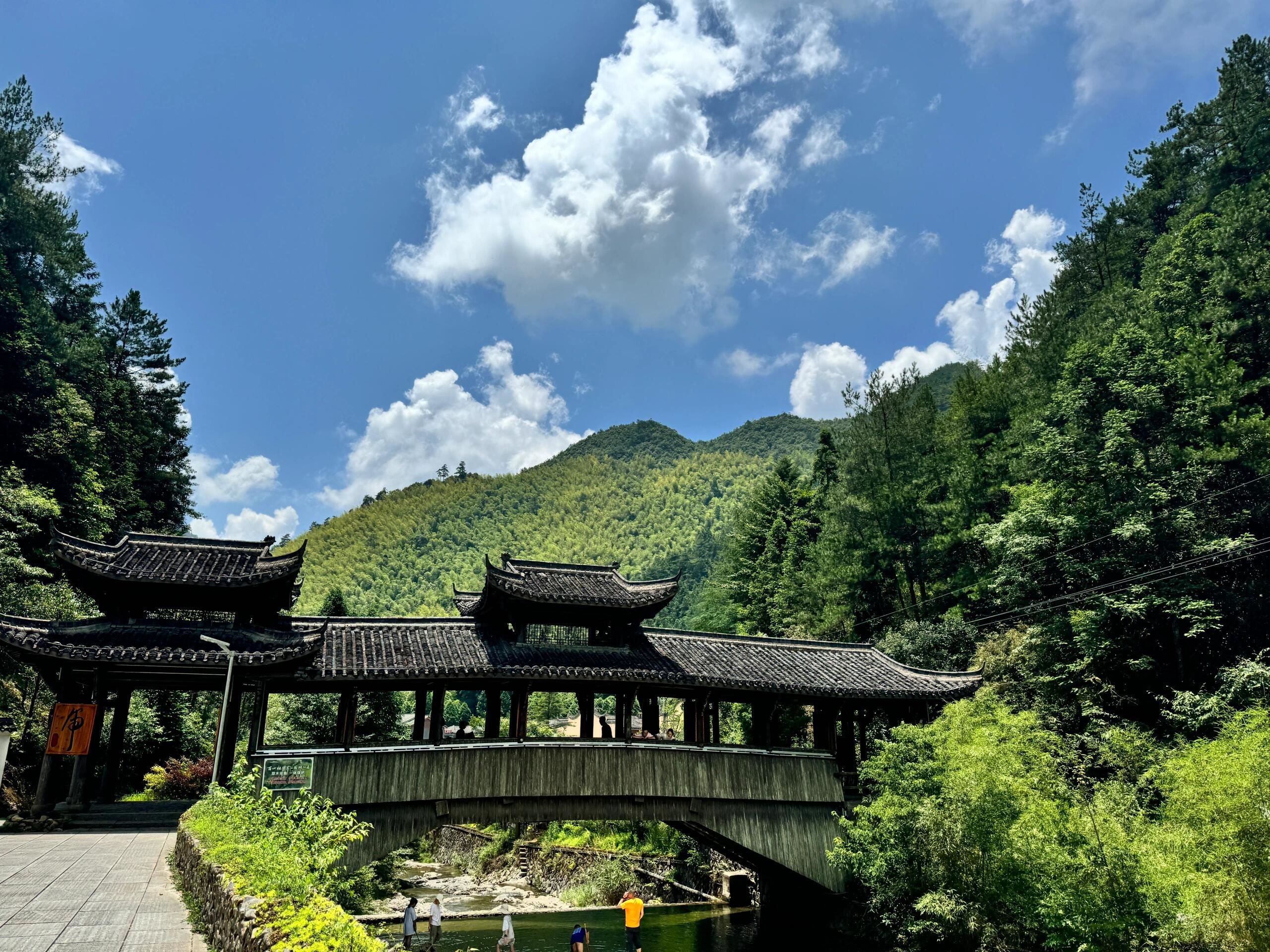 浙江省最后的秘境,庆元百山祖国家森林公园
