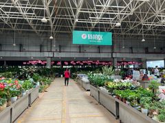 -昆明国际花卉拍卖交易中心