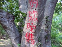 -南京市无想山景区