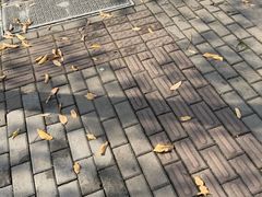 -雨露空间(青林湾店)