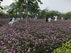 -广东花都香草世界旅游度假区