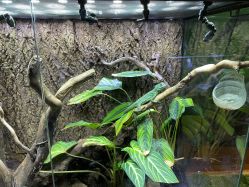 -酷嗒动物文化乐园(cutezoo西溪乐天城店)