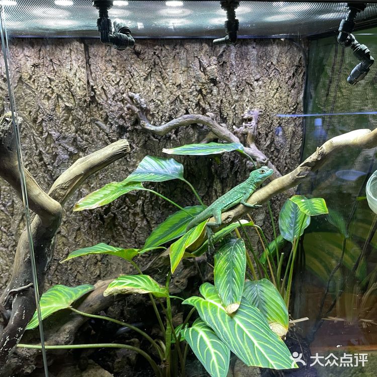 周末溜娃好去处~娃开心，你想做啥就做啥