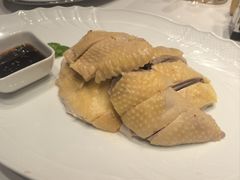 道道鲜白切鸡-道道鲜·崇明私房菜(五角场店)