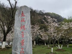 -幕燕滨江·长江观音景区