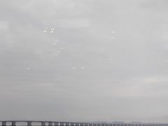 -V Bar海景扒房(北海湾惠龙万达嘉华酒店)