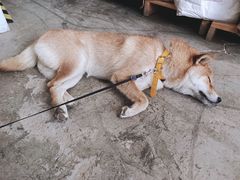 -隹木咖啡馆(宝龙广场店)