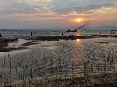 -呈贡滇池生态湿地公园