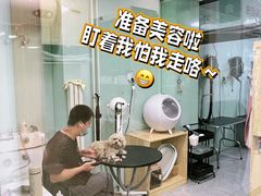 -中农大我爱我爱动物医院·核磁CT·猫病·24小时夜诊中心(石佛营店)