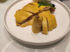 -骏莱海鲜鱼港(五角场店)