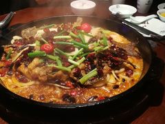-老板恋上鱼(高新万达店)