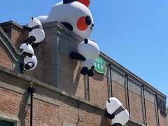 -西安电影制片厂