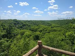 -大青沟风景区