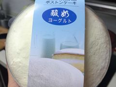 酸奶波士顿-卡滋贝诺动物奶油生日蛋糕(亚太潮尚店)