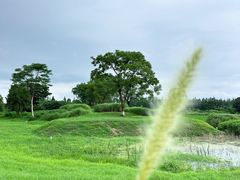 -良渚古城遗址公园