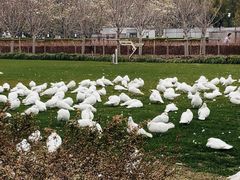 -人民广场
