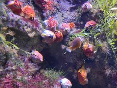 -郑州海洋馆