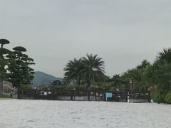 -长隆横琴湾酒店(珠海旗舰店)