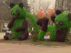 -西安秦岭野生动物园