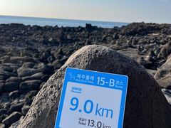 -真情鲍鱼海鲜汤