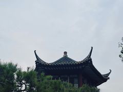 -碧江金楼