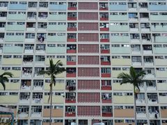 -彩虹村