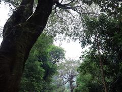 -鼎湖山风景区