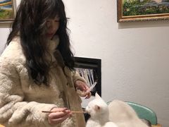 -猫色咖啡·猫咖