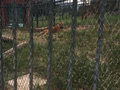 -无锡动物园·太湖欢乐园